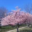 3.15(日)ちばCAMBO練習