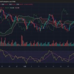 ケセラセラ　～中村毅の相場観～
