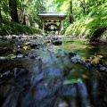 弥彦神社、酒呑童子神社