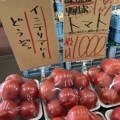 トマトが安い！