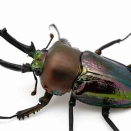 2025年を振り返る