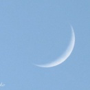 今日もきれいだったので・・・