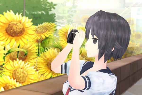 ぴゅあの部屋ライブドア版 フォトカノ