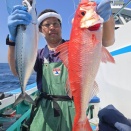 4月14日　釣果　神津島