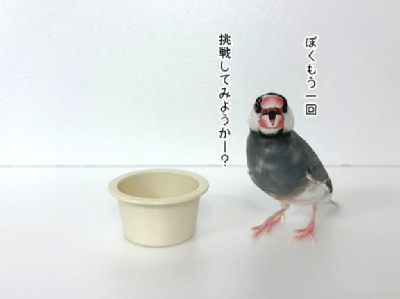 やらかしました