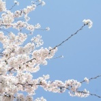 あの日の思い出