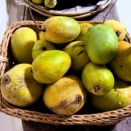 頂き物のマンゴがおいしい　