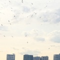 ひび20180406 春だからかな