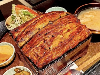 「炭火串焼物語 SAKE」の『特上うな重』など（大和市大和東）【やまとぴグルメ】