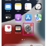 優雅に空を飛びたい　お得な旅でダイヤ会員へ