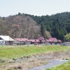 livedoor