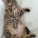 リハビリちゅうですよ