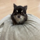 5月なのに…