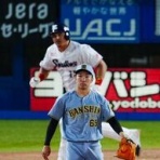 一緒に阪神タイガースを応援しよう！