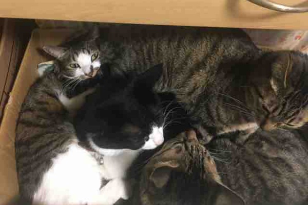 長野県上田市 女性のためのお顔そり専門店 ブライダル ぷしゅけ