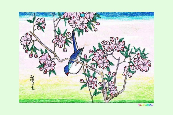 クレヨン則さんの塗り絵 - 鳥
