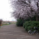 ポタリング中、事故現場に遭遇!!