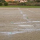 『野球界はつながっているので…』の画像