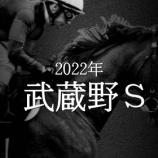 『【掟破りの金になる話】武蔵野Ｓ(G3)』の画像