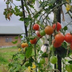 北村山天文愛好会