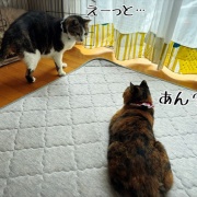 天竺はもうそこかも。