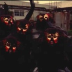 ミカンノホカンコ