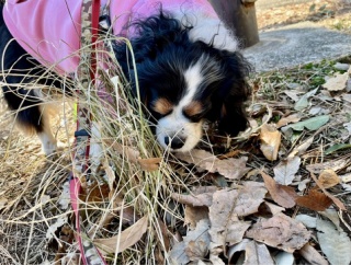 危険な状況だったのかも？ / 狙われやすい立場