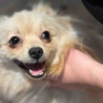 茅ヶ崎ふれあい動物園blog