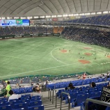 『巨人の編成本部長は「単なるポスト」か？』の画像