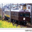伊豆箱根鉄道2026フォトコンテストにて金賞をいただきました