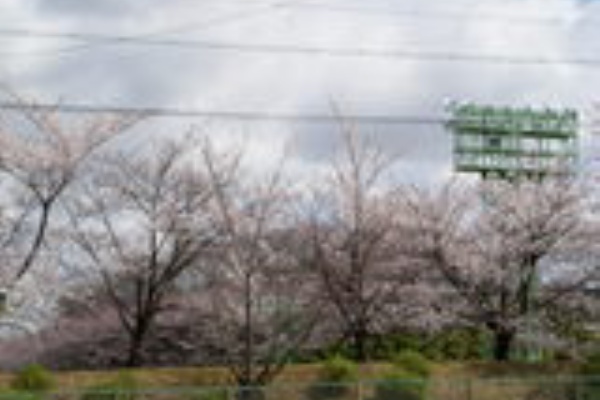 名古屋の中古車販売会社の 社長日記 08年03月