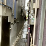 三毛猫ランチ２