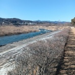 アリエスのあーちゃん