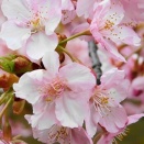 平凡なことに喜んで生きる強さ！