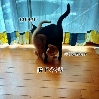 今日も絡まっております。