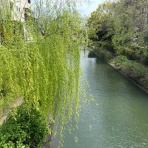 * Fleur de Coeur *ココロノハナ