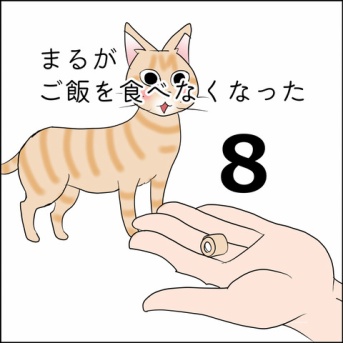 まるがご飯を食べなくなった８