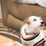 華・あず＆レン