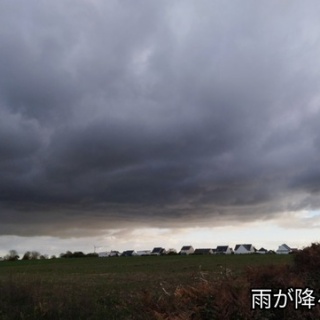 ソワレが要らないフランス暮らし