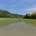 mie_vegeのブログ