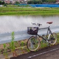 危険な自転車専用道と雨中ポタ