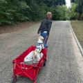 愛犬と一緒に舎人公園でピクニック。*\(^o^)/*