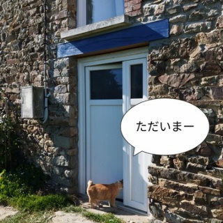 ソワレが要らないフランス暮らし