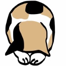 お知らせ・サロンとしては今月いっぱいで終わります