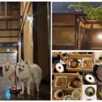 シェビーズのブログ