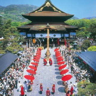 ハムスター速報