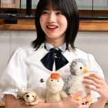『クイズ!林瑠奈ｗ『乃木坂お試し中』林瑠奈ご褒美企画前編の場面写真4枚！【乃木坂46】』の画像