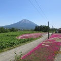夏の旅6月７～羊蹄山の山麓はとっても自然豊か❗️京極町・倶知安町