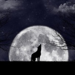 英語を極める理系サラリーマンのブログ