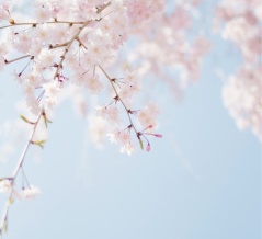 片づけ後に起きた変化｜忙しいはずなのに余裕ができた暮らしの秘密